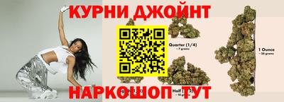apvp Коммунар