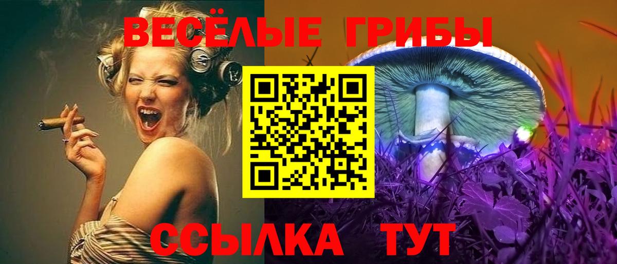 Псилоцибиновые грибы прущие грибы  Галлюциногенные грибы ЛСД  Вход с VPN  Чебоксары 