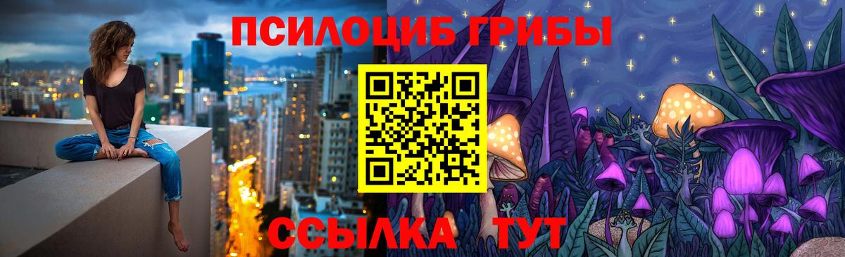Галлюциногенные грибы прущие грибы Чебоксары